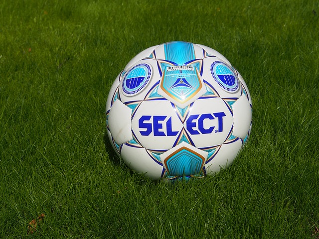 俨然成为西 俨然成为西