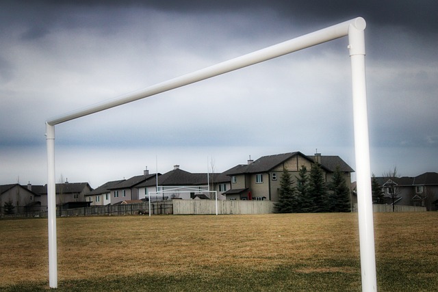 们带来了新 们带来了新