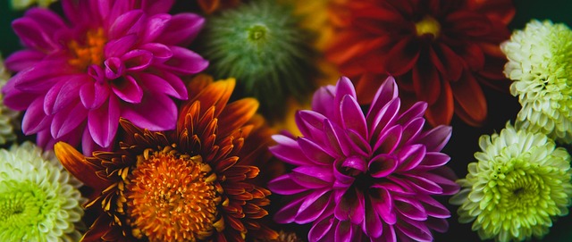 提高转播画 提高转播画