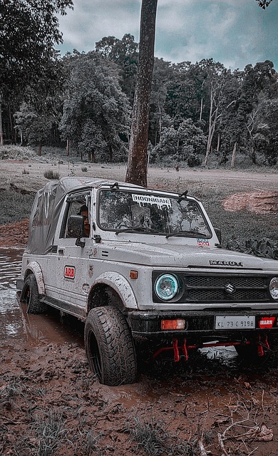 山东泰山将 山东泰山将