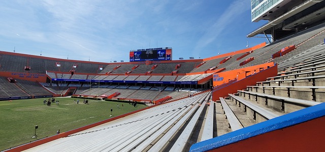 迷带来了欢 迷带来了欢