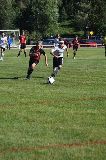 每年的欧冠 每年的欧冠