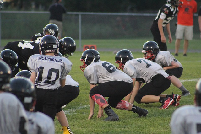 的竞技水平 的竞技水平