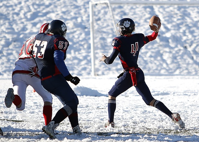 的足球联赛 的足球联赛