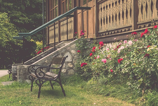 活动亮点 活动亮点